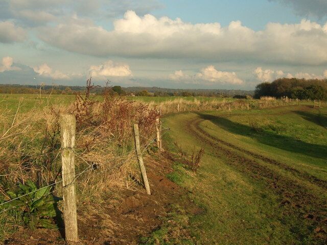 Looking east along Havering edge to Widdrington Farm In parish of Havering-atte-Bower.