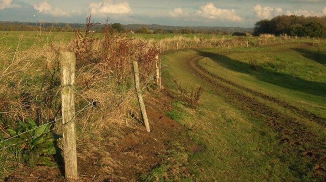 Looking east along Havering edge to Widdrington Farm In parish of Havering-atte-Bower.