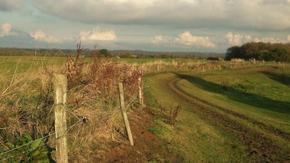 Looking east along Havering edge to Widdrington Farm In parish of Havering-atte-Bower.