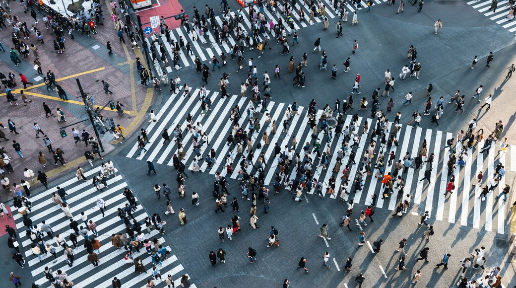 Shibuya crossing