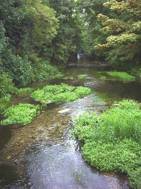 River Wandle from the Middleton Road bridge.