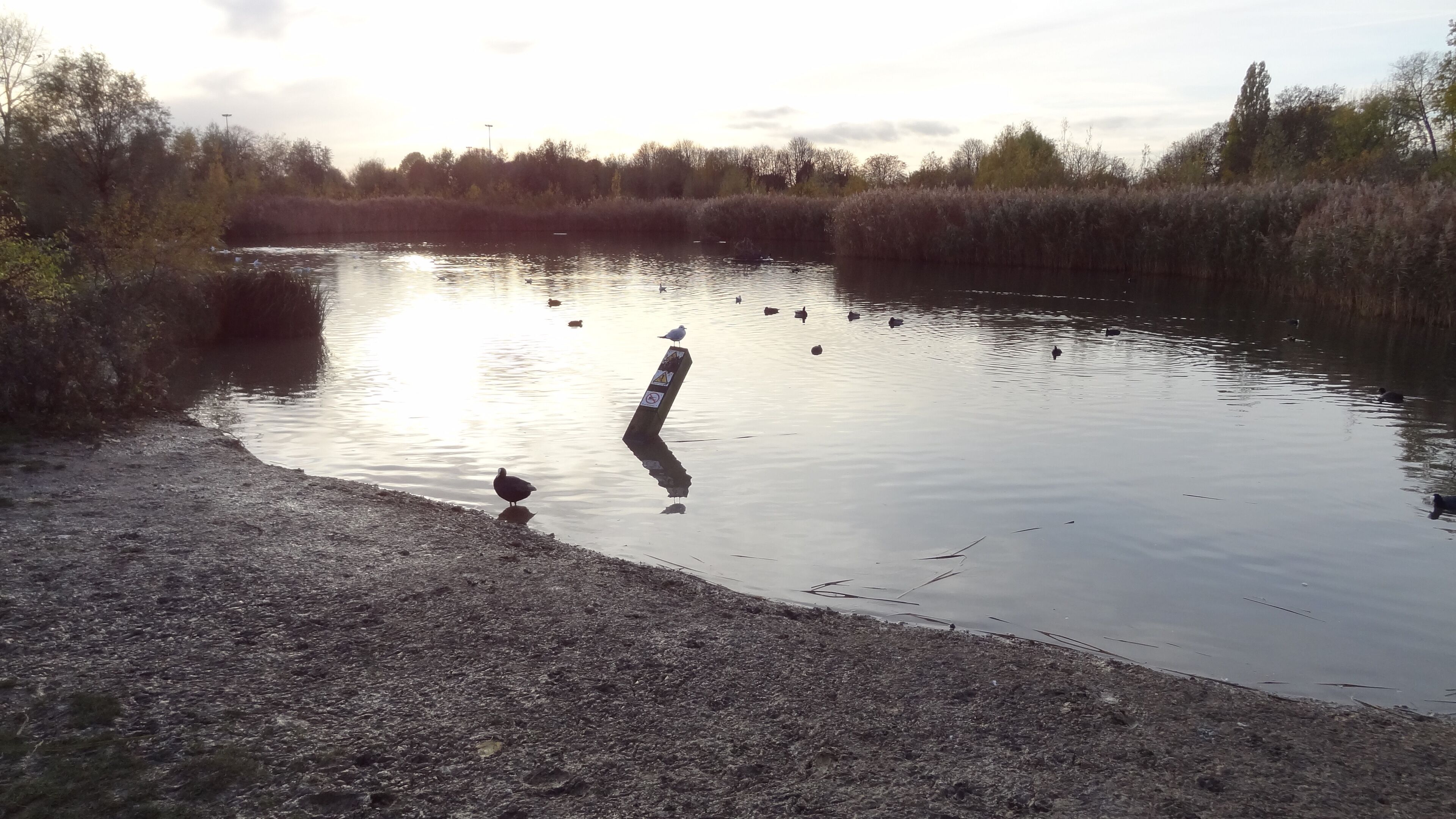 Lake in Sutcliffe Park, Eltham, London