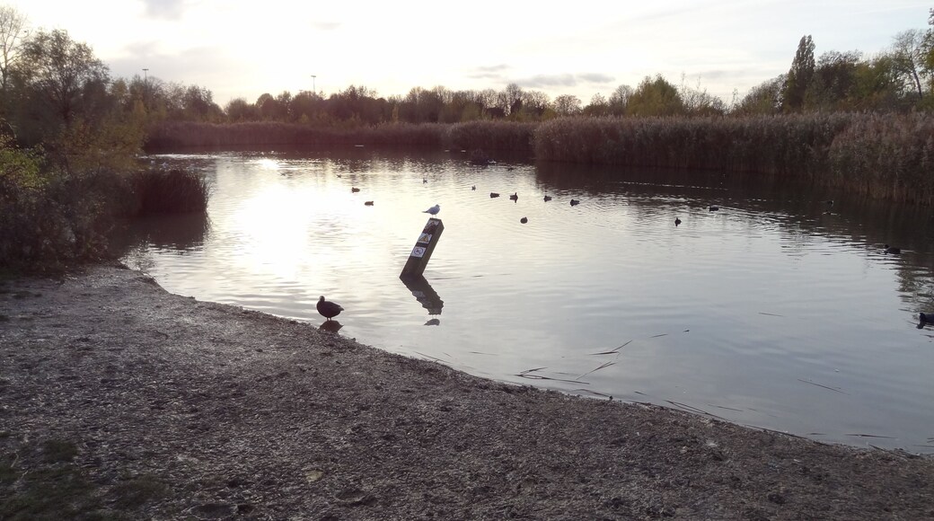 Lake in Sutcliffe Park, Eltham, London