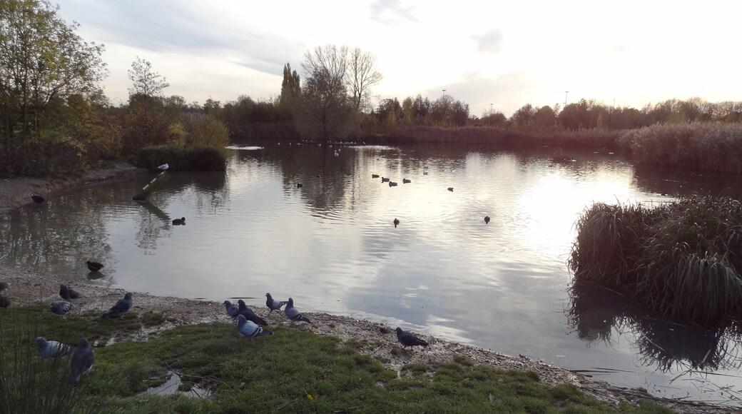 Lake in Sutcliffe Park, Eltham, London
