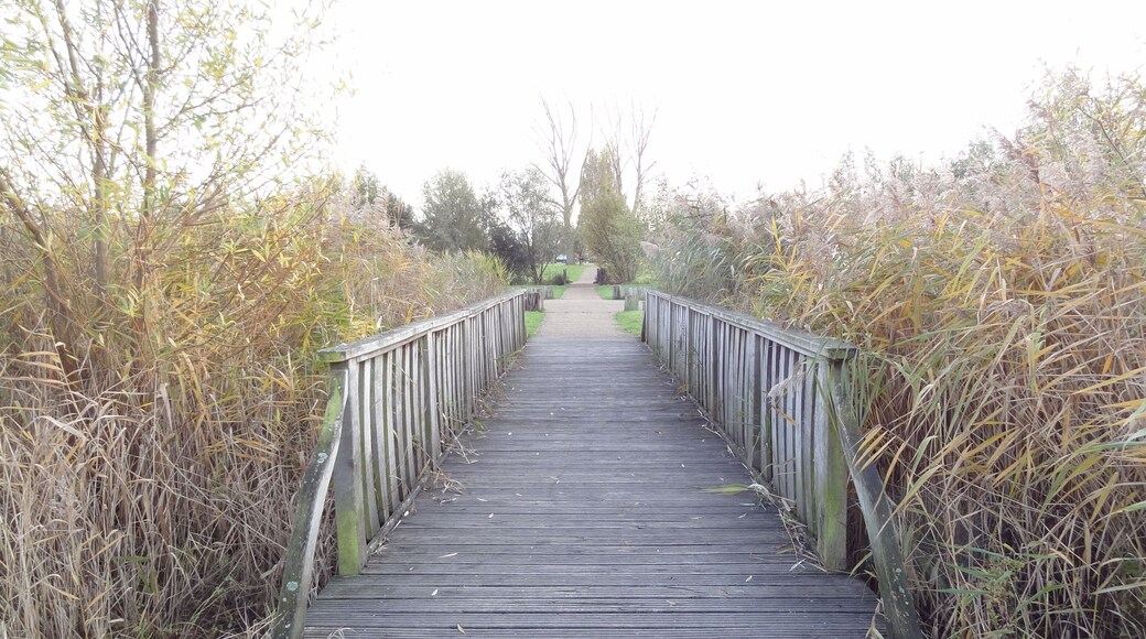 Path in Sutcliffe Park, Eltham, London