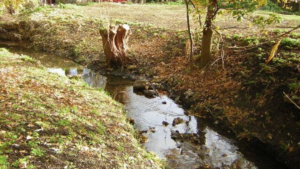 The River Shuttle at Parish Wood Park The Shuttle seen here not far from its source on the north side of Avery Hill Park is flowing along the southern side of Parish Wood Park.