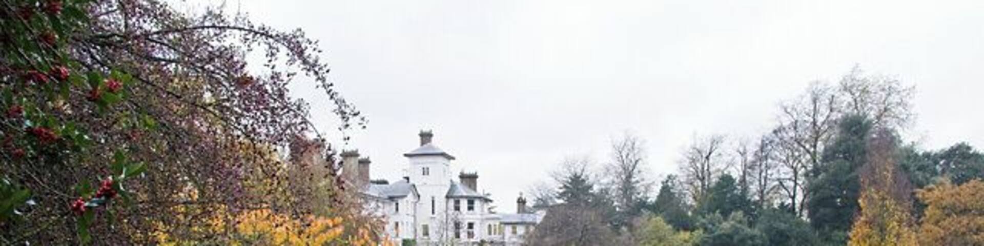 Autumn Avenue House The house, seen from just behind the lake in the park. Some nice autumn colours on the deciduous trees and red berries aplenty on the Holly. The house and grounds were left to the people of Finchley by Henry Charles Stephens in 1918. See http://www.avenuehouse.org.uk/ for more information.