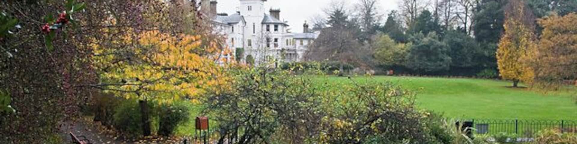 Autumn Avenue House The house, seen from just behind the lake in the park. Some nice autumn colours on the deciduous trees and red berries aplenty on the Holly. The house and grounds were left to the people of Finchley by Henry Charles Stephens in 1918. See http://www.avenuehouse.org.uk/ for more information.