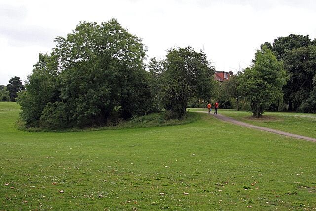 Where did you get that shirt? A couple of noisy guys with very bright shirts cross the open grassland adjacent to Dollis Brook on their way to Windsor Road. Frankly, it's all a bit too loud for a Sunday morning.