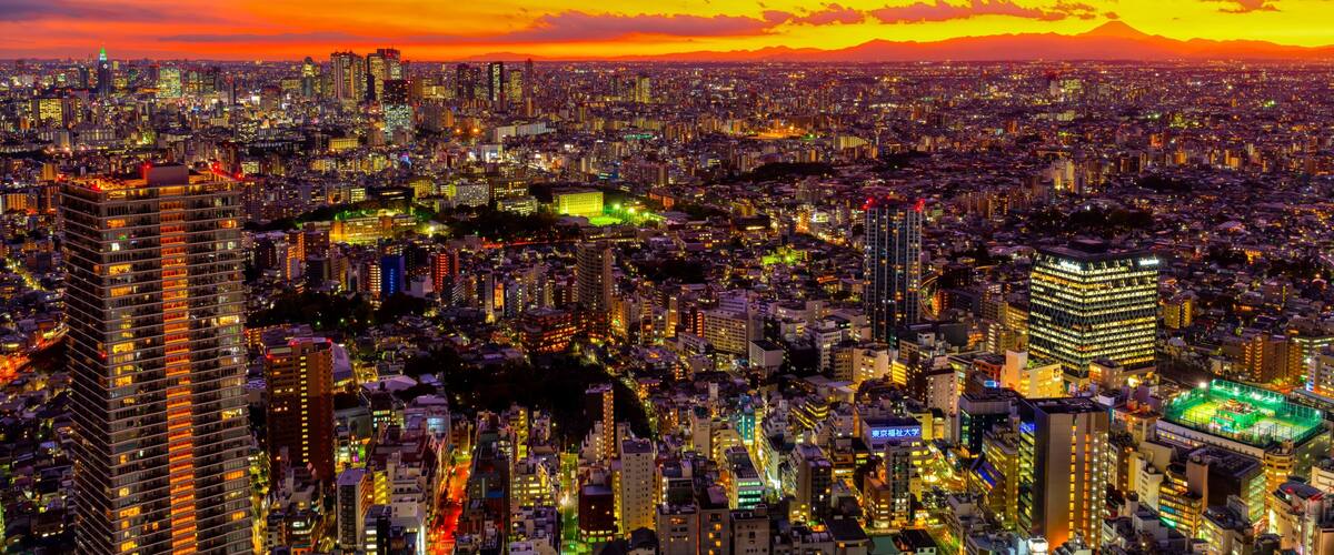 富士山と夕暮れの東京都市風景
