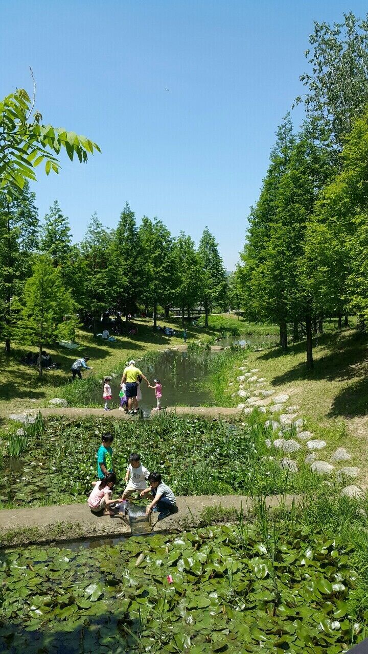 South Korea of park