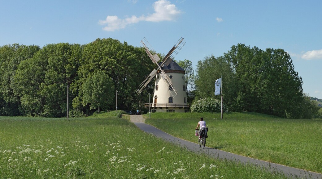 Gohliser Windmühle und Elberadweg