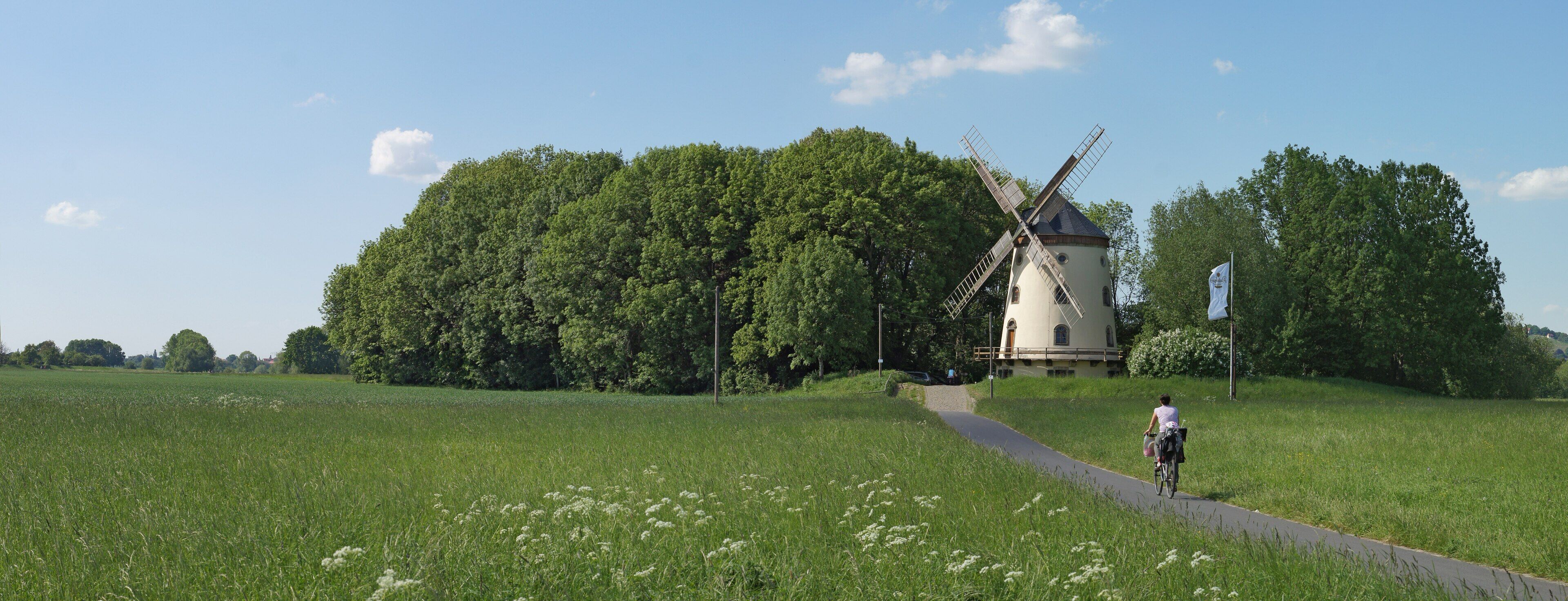 A windmill, a path, and a cyclist in a green field.