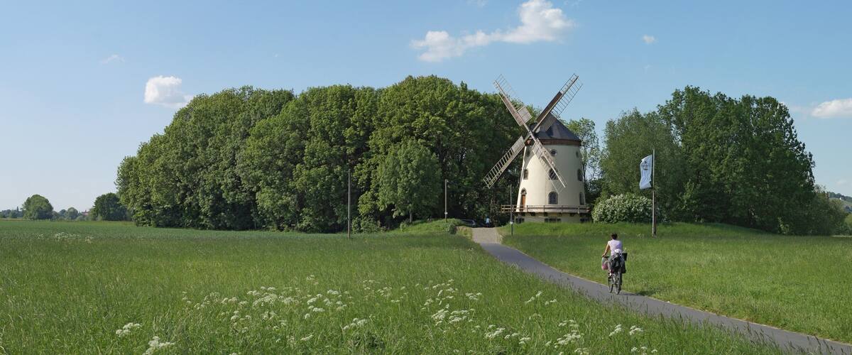 A windmill, a path, and a cyclist in a green field.