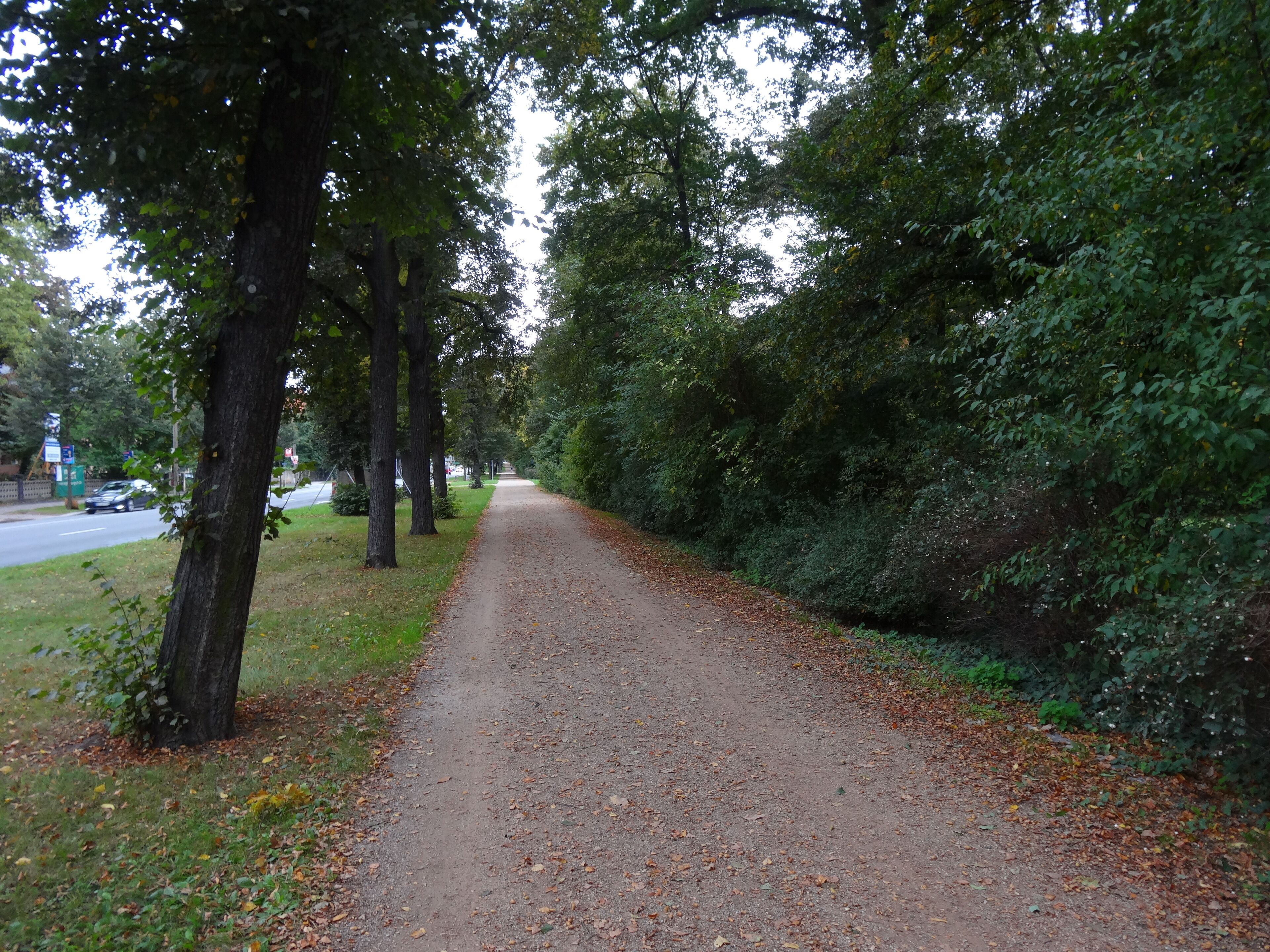 Karcherallee, Dresden