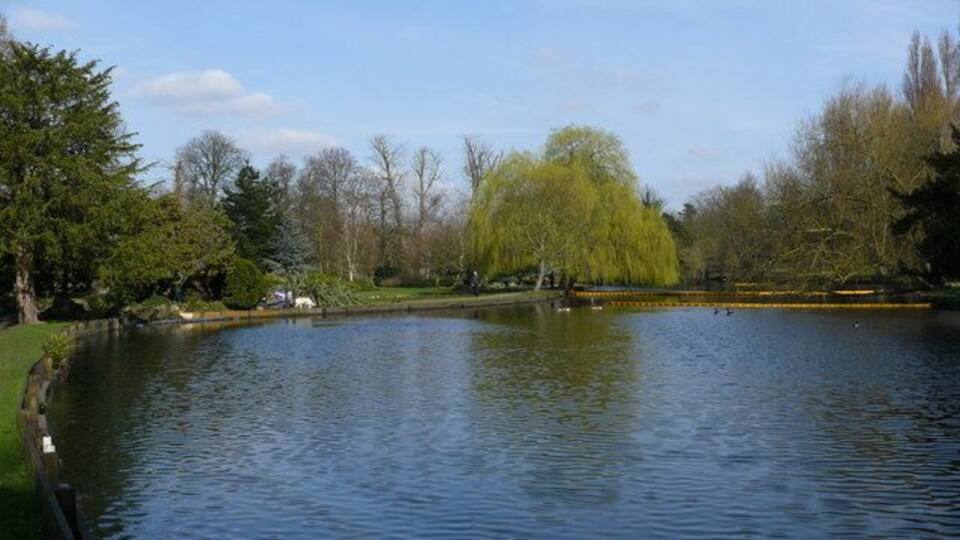 Lake in Beddington Park A few Canada Geese have taken up residence on this, otherwise quiet, lake. They were a bit camera-shy.