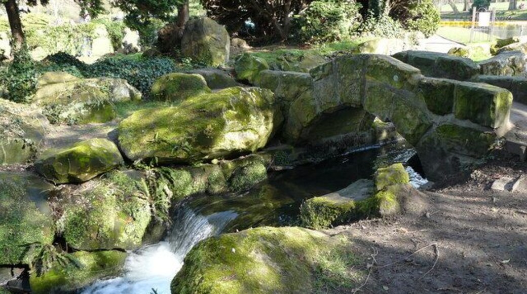 Waterfall in Beddington Park Most of the water leaves the lake, in Beddington Park, via a weir. Some water takes this route, forming an ornamental waterfall.