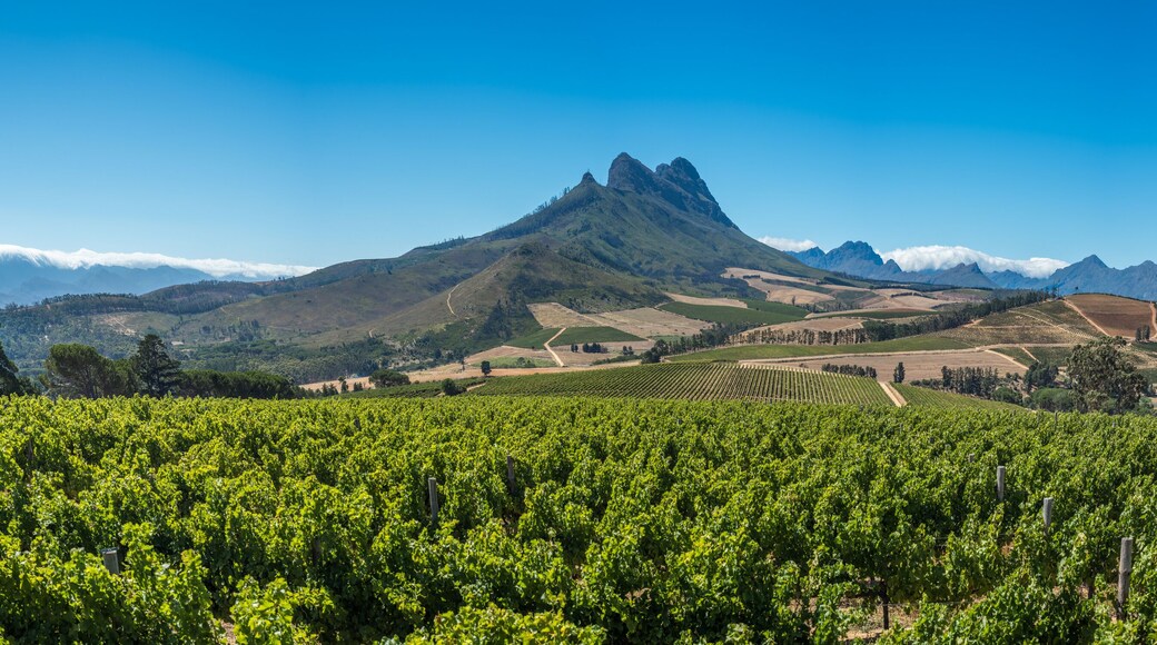 ลาร็อชเชลล์