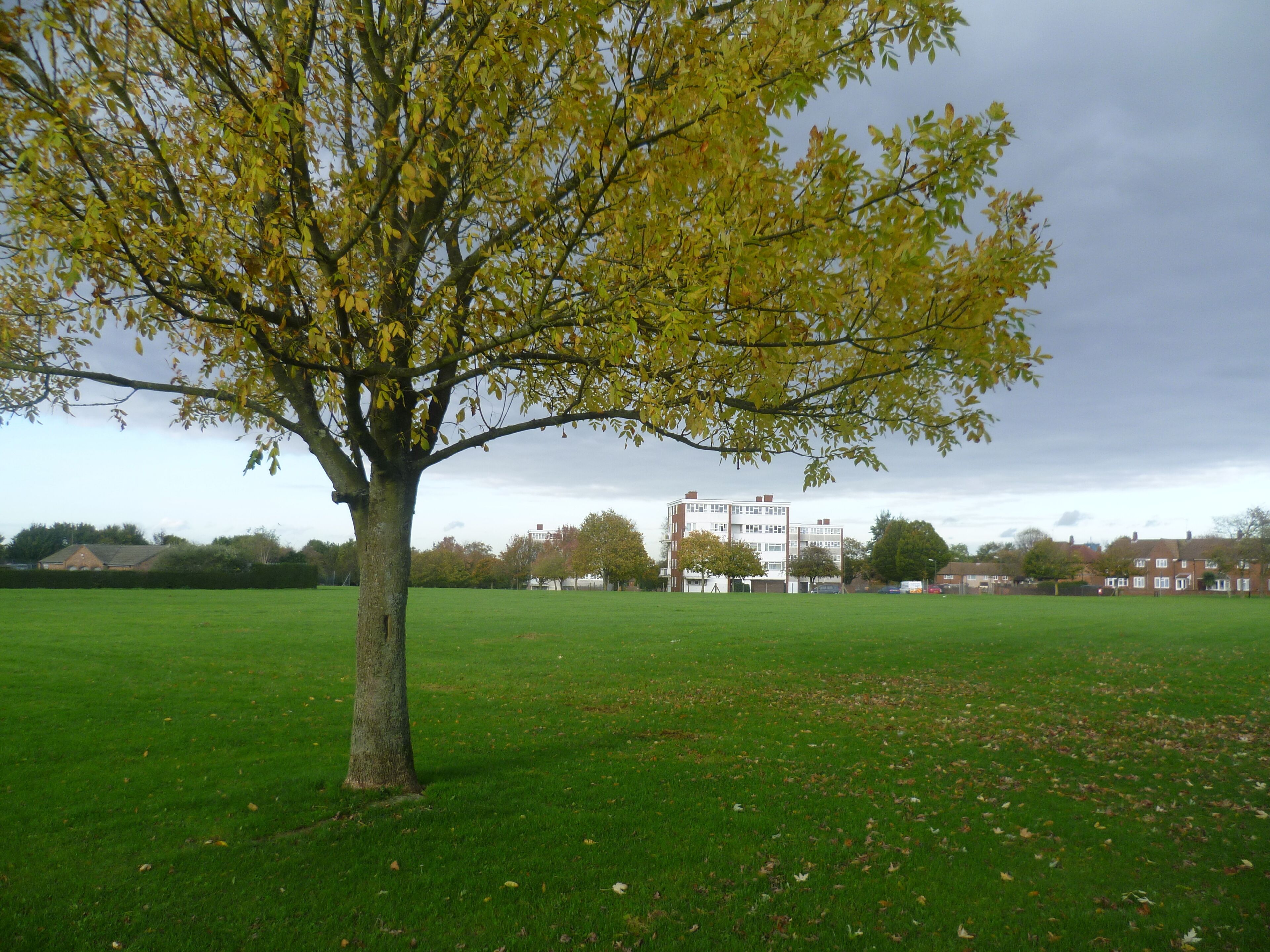 Milne Park, New Addington