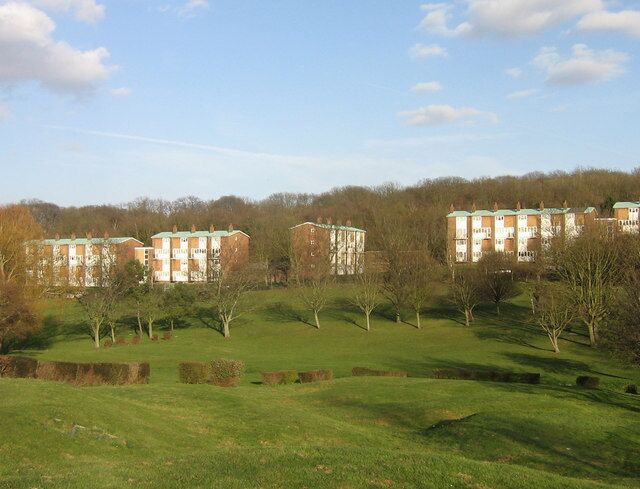 Maisonettes in Kestrel Way Viewed from Goldcrest Way across a strip of parkland that cuts across the middle of New Addington. Perhaps it's appropriate that goldcrests are kept separate from kestrels!