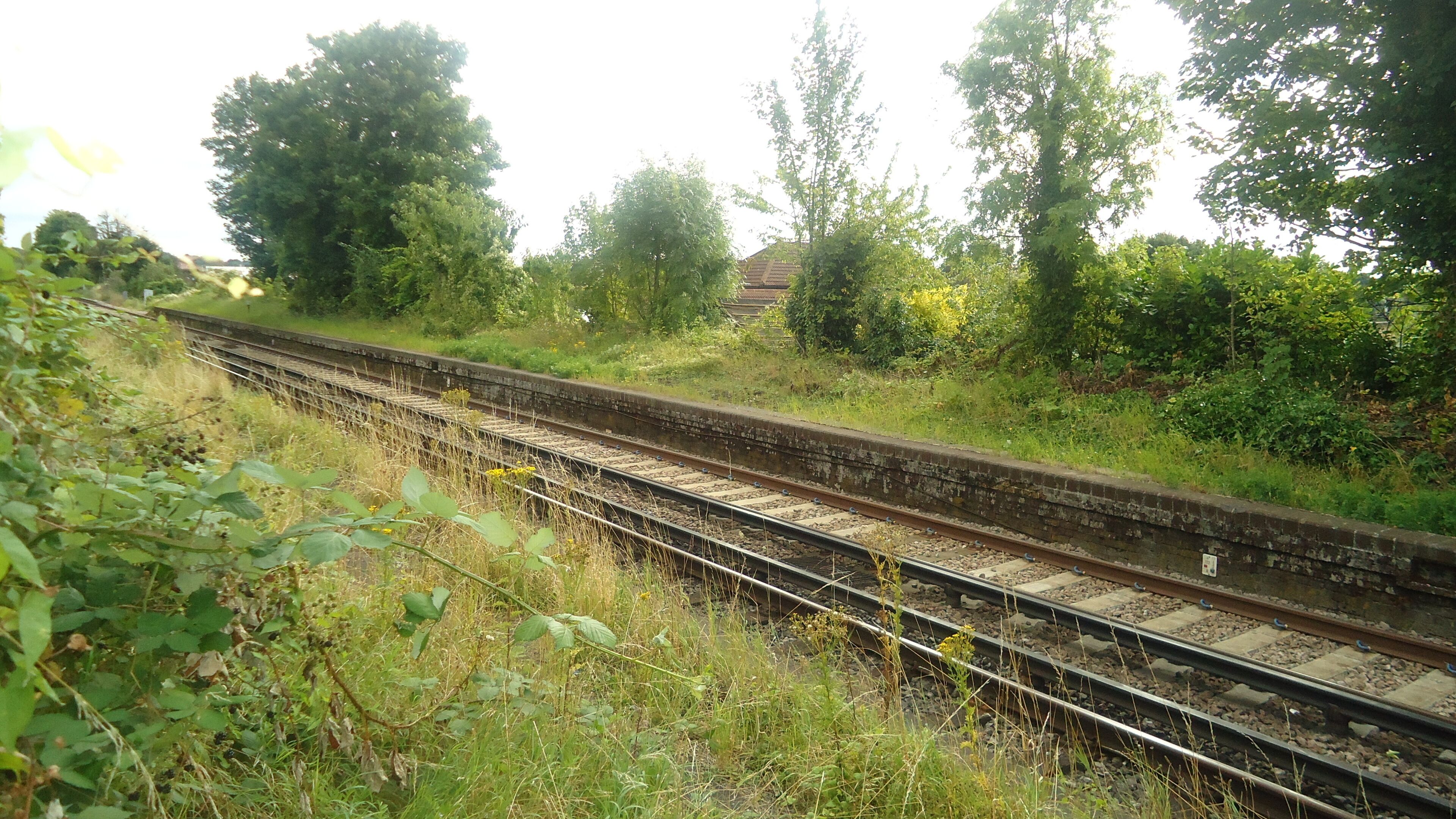 Remains of Selsdon station, Oxted Line platforms looking south towards Sanderstead.