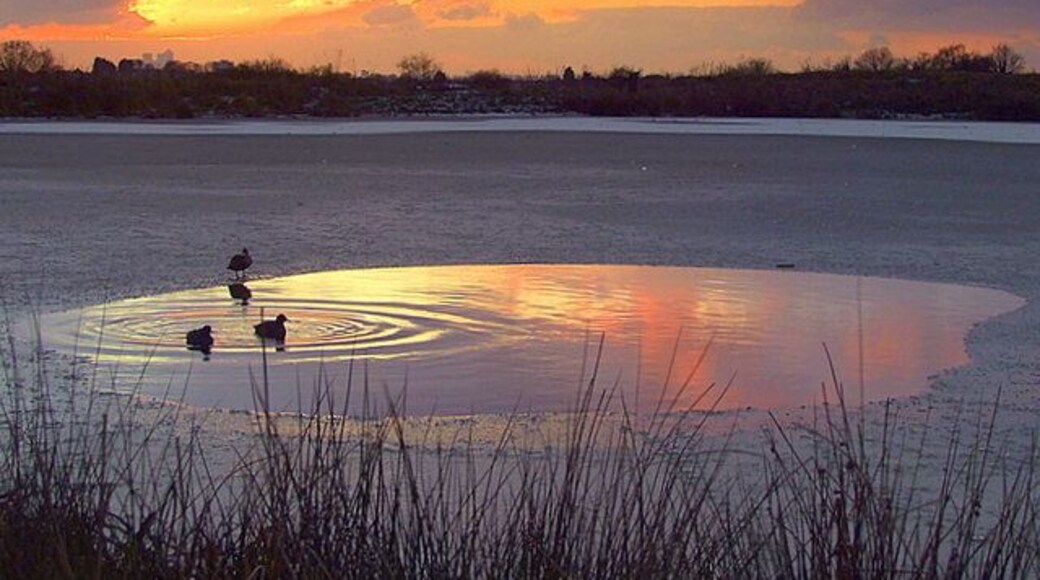 Sunset over Bedfords Park pond The pond was almost iced over,save for the small pool at the eastern end, reflecting the sunset, beautifully.