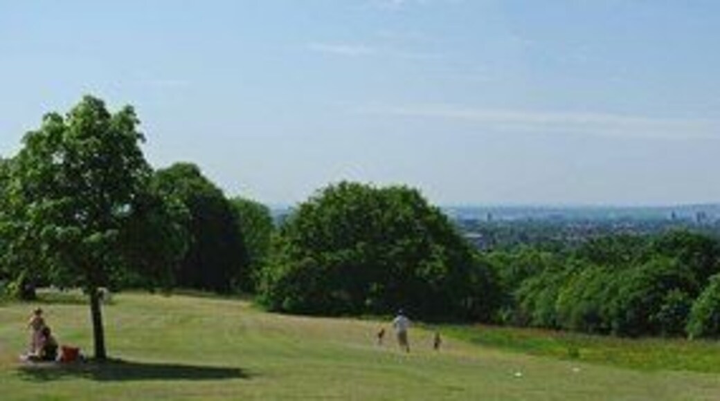 Bedfords Park Panorama. This is the scene from outside 1320114 looking down the hill towards South East London. To the right looking over the 1320165 can be seen the towers of canary wharf for more info see http://www.essexwt.org.uk/visitor_centres__nature_reserves/bedfords_park/