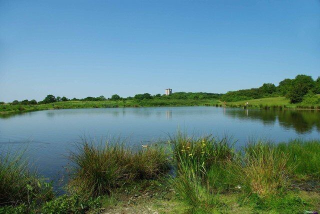 Bedfords Park Lake The main lake in Bedfords Park it was dug by the Council in the 1950s to provide a fishing pond. It used to be the rubbish dump for the big house. The tower block shows just how close the Park is to Londons fringe.
