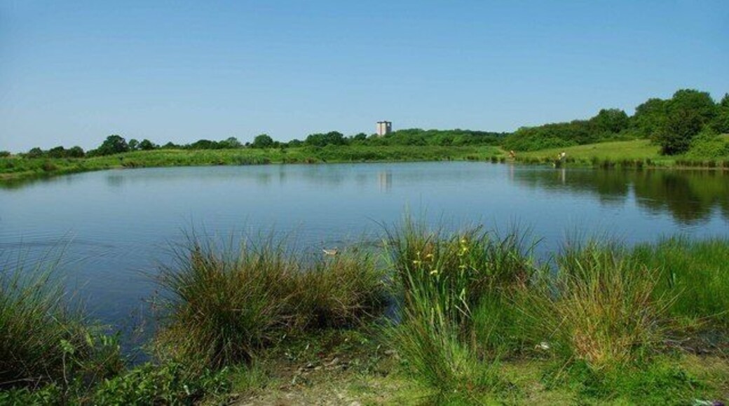 Bedfords Park Lake The main lake in Bedfords Park it was dug by the Council in the 1950s to provide a fishing pond. It used to be the rubbish dump for the big house. The tower block shows just how close the Park is to Londons fringe.
