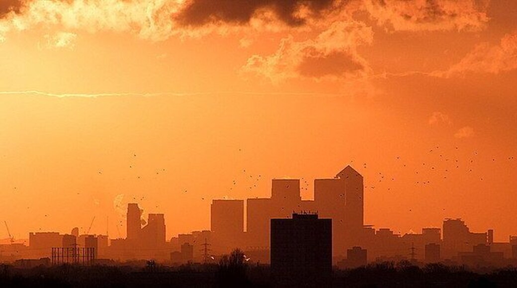 Birds circling over Canary Wharf Taken from Bedfords Park, Havering-atte-Bower.