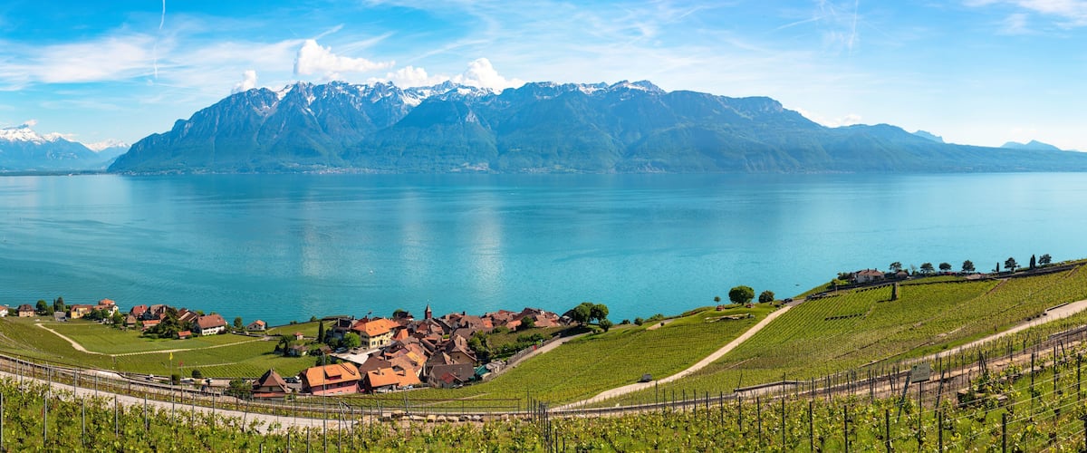 Panoramic view of vineyards in Lavaux region, near Vevey, over Lake Leman (Lake Geneva), Canton of Vaud, Switzerland