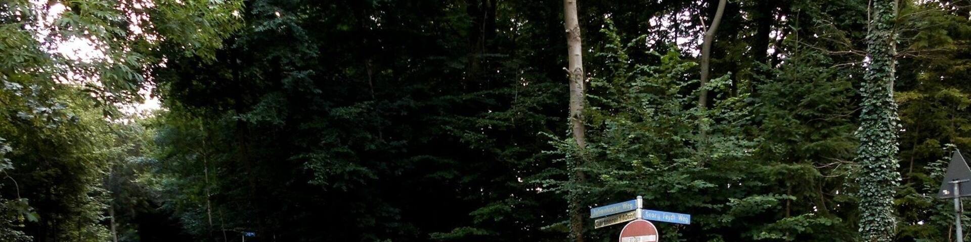 Pflasterstraße im Kieler Stadtteil Hasseldieksdamm.