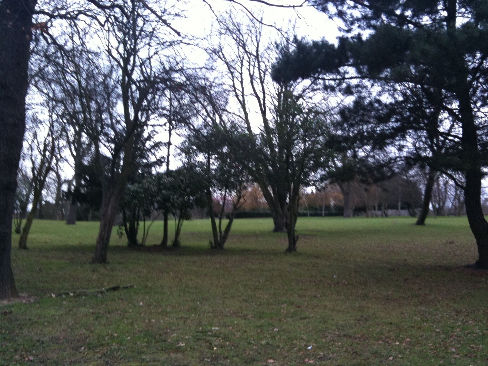 Brent, Veľká Británia