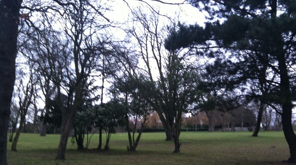 Brent, Veľká Británia