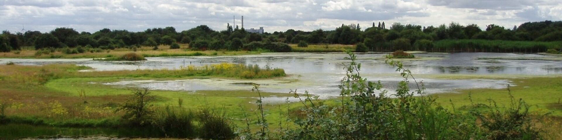 Marshy land at the east side of Eastbrookend Country Park. Photo taken July 2008. Owner: London Borough of Barking and Dagenham.