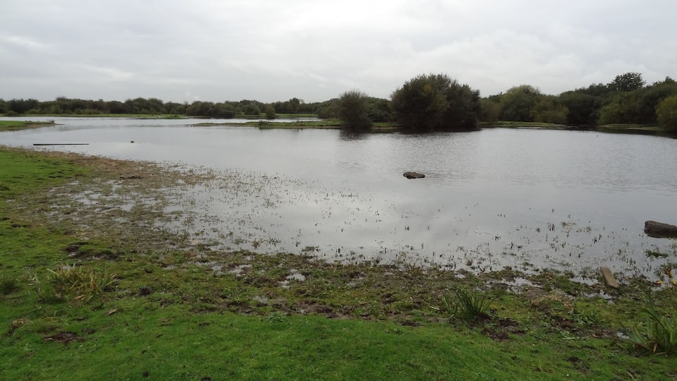 The Chase Nature Reserve in Dagenham, London