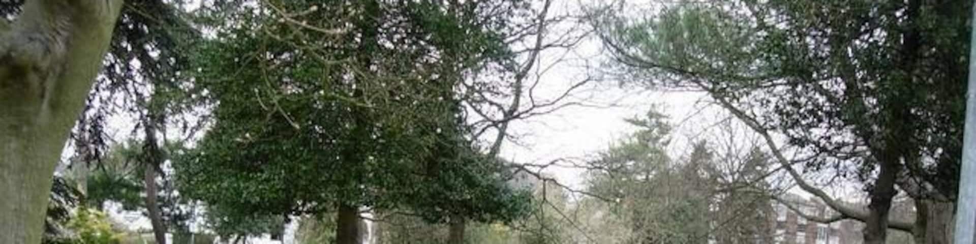 Claremont Gardens A small open area close to Surbiton, probably looking its best at this time of year.