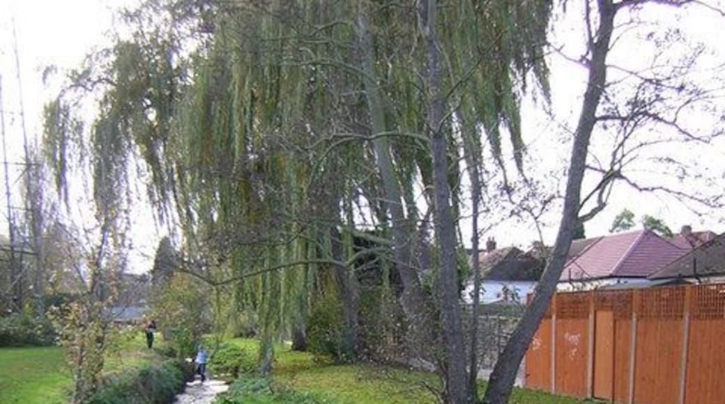 The River Shuttle looking towards Albany Road Looking upstream to where electricity power lines cross the river. The Shuttle Riverway follows the river.