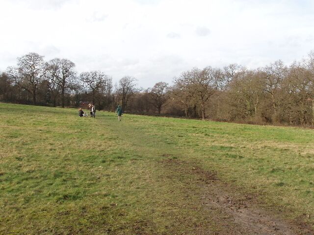 Ancient meadow by Horsenden Hill This open space is unusual in London in that the original fields and boundaries and hedges have been left in place, so there are medieval hedges with a great variety of plants.