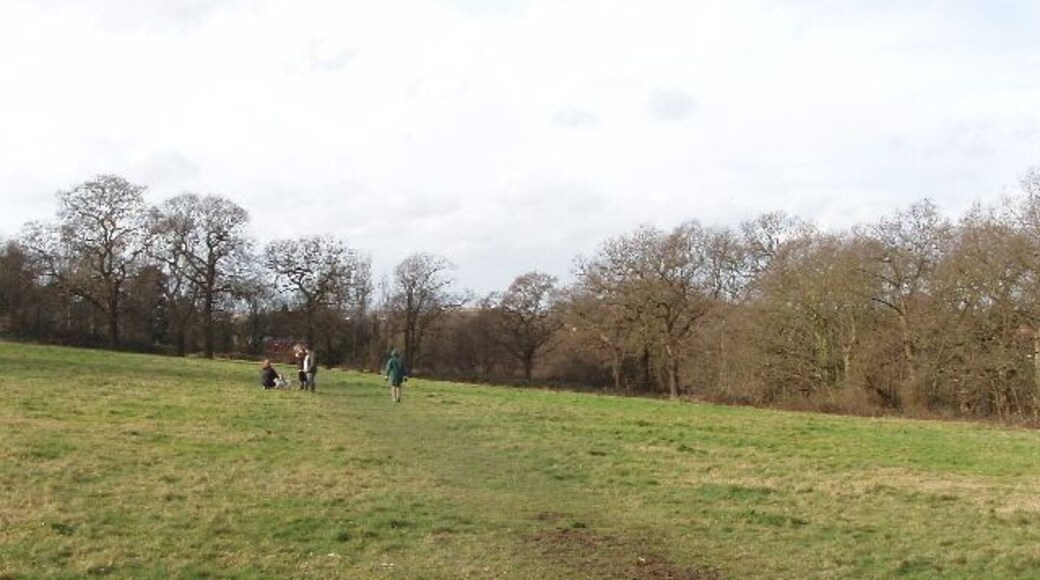 Ancient meadow by Horsenden Hill This open space is unusual in London in that the original fields and boundaries and hedges have been left in place, so there are medieval hedges with a great variety of plants.