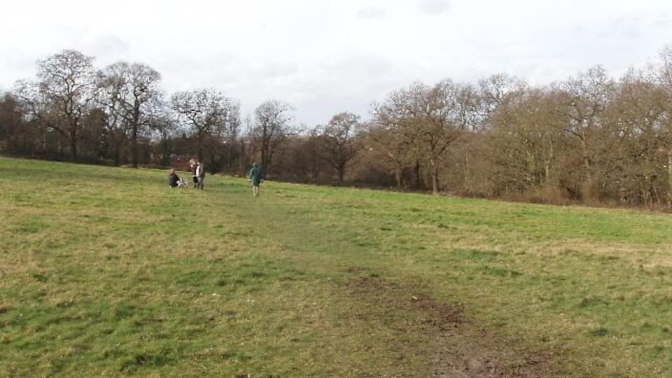 Ancient meadow by Horsenden Hill This open space is unusual in London in that the original fields and boundaries and hedges have been left in place, so there are medieval hedges with a great variety of plants.