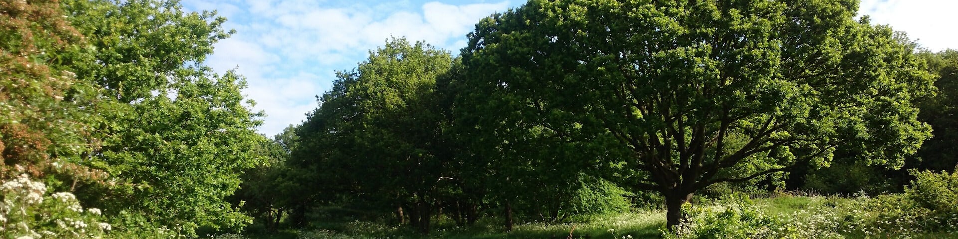 Horsenden Hill