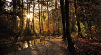 An easy walk not from far Bern, air so pure and ambiance so quiet that give you envy to come back again!
