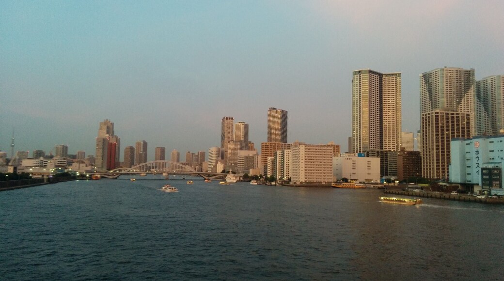 Tokyo Bay