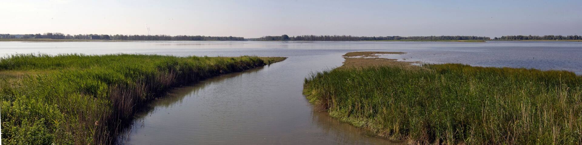 A river meandering through a marshy landscape with dense vegetation on both sides.