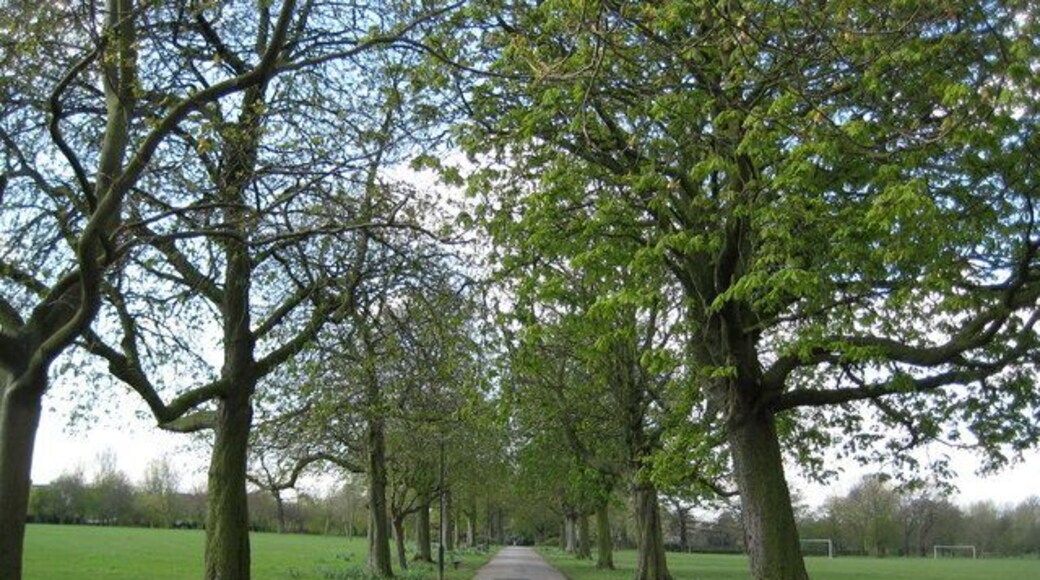 West Harrow Recreation Ground Old Ordnance Survey maps available online show this whole area as open fields right up to the Edition of 1920. The Metropolitan Railway was the first significant development across the agricultural land and the Recreation Ground first appears, in a currently available online map, in the Edition of 1935. The horse chestnut trees on the right are bursting into leaf.