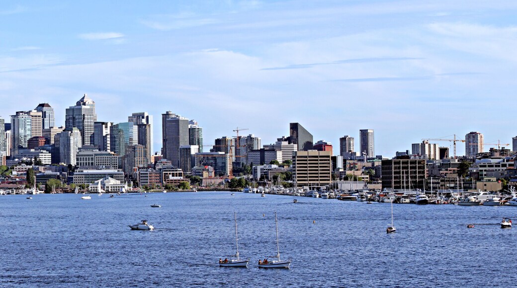 ํ์ด๋ง์ดํธ ํํฌ