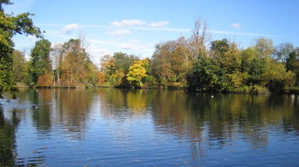 Ilford: South Park: The Lake The lake in this London Borough of Redbridge maintained park drains out southwards into Loxford Water, a tributary of the River Roding.