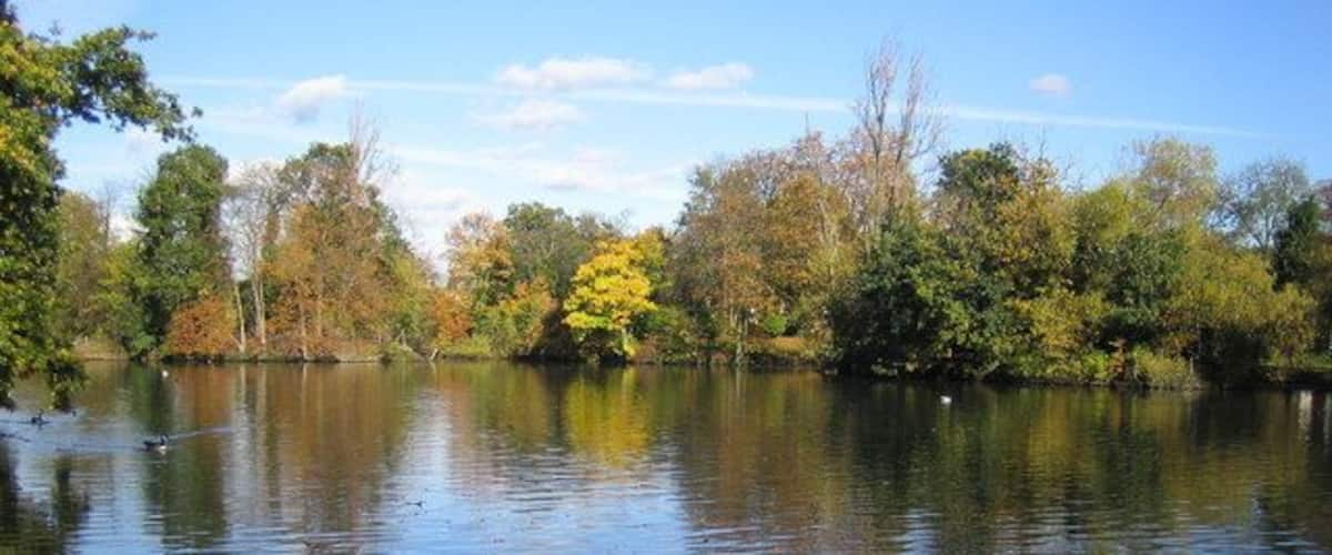 Ilford: South Park: The Lake The lake in this London Borough of Redbridge maintained park drains out southwards into Loxford Water, a tributary of the River Roding.