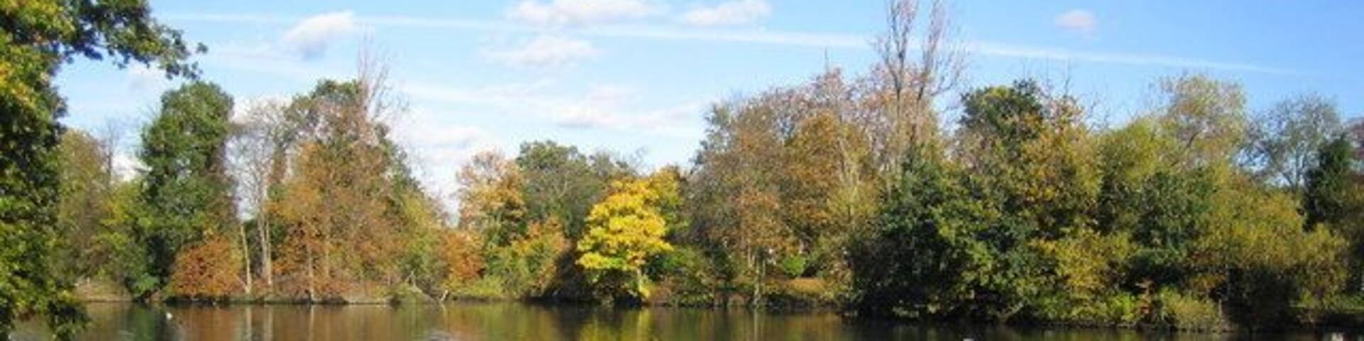 A calm lake with reflections of trees and a clear sky.